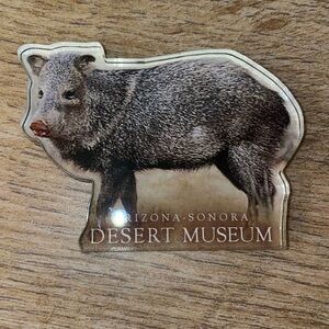 Javelina Arizona Sonora Desert Museum AZ travel souvenir magnet